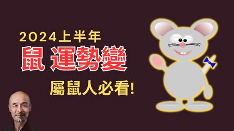 2024鼠年運程1972|1972年属鼠人2024年全年运势详解 52岁生肖鼠2024年。